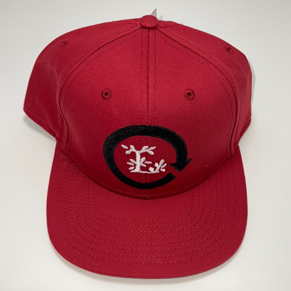 LRG SNAPBACK HAT